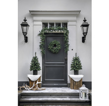 Espace d''entrée avec décorations de Noël : couronne de porte, guirlande, sapins de Noël, lanterne et bois de cerf