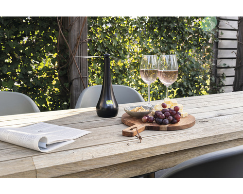 Scène avec table, verres, nourriture, journal et protection contre les insectes