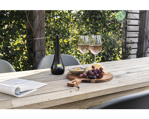 Scène avec une table d''extérieur, garnie de verres, de nourriture et d''un dispositif anti-mouches