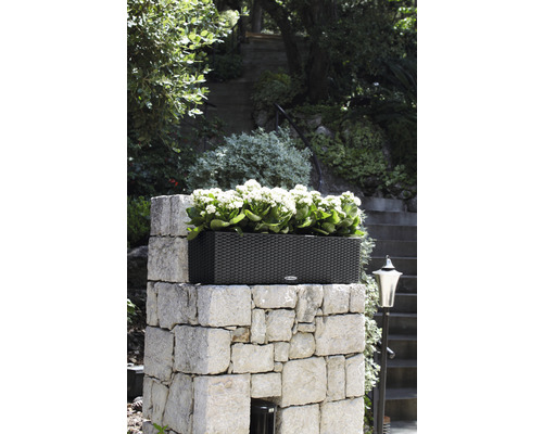 Jardinière rectangulaire en rotin sur un mur de pierre avec plantation