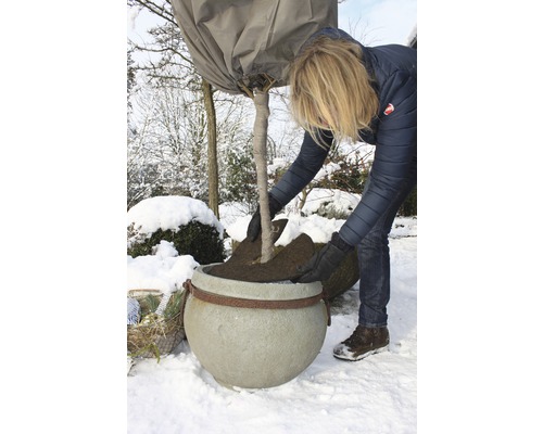 Une femme plante un arbre avec protection hivernale dans un pot dans un jardin enneigé.