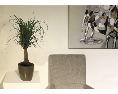 Zimmer mit Elefantenfuß im Topf, Sessel und Gemälde