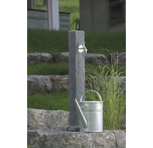 Scène de jardin avec point d''eau en pierre et arrosoir