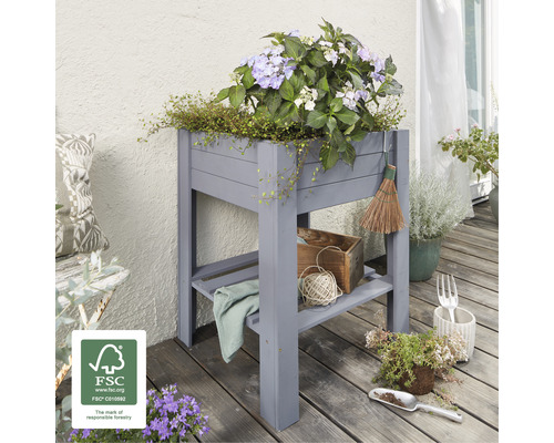 Jardinière surélevée en bois avec plantes et accessoires de jardinage