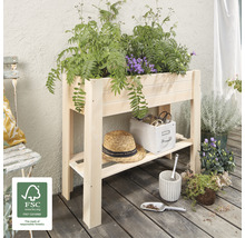 Jardinière surélevée en bois avec plantes et accessoires de jardinage