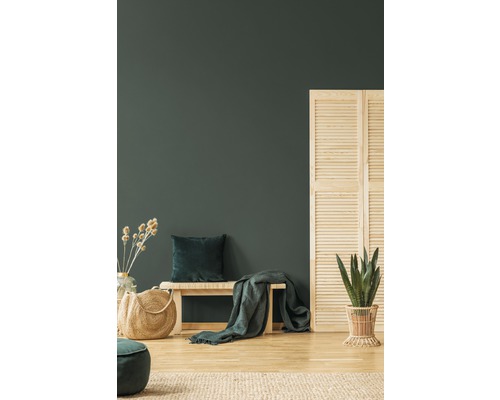 Espace de vie avec banc, coussin, jeté, plante et séparateur de pièce