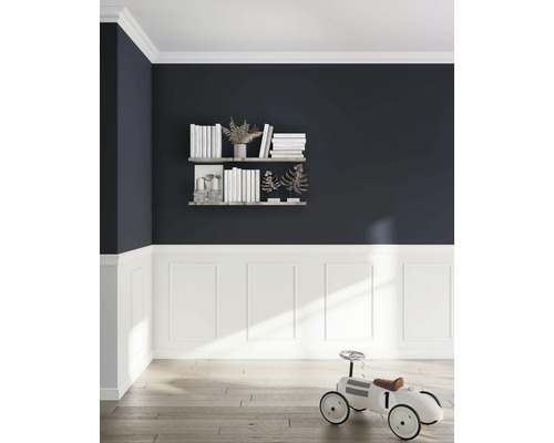 Salon avec bibliothèque, lambris et voiture jouet