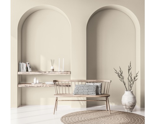 Intérieur avec banc, coussin décoratif, tapis rond, étagères, objets de décoration et plante dans un vase