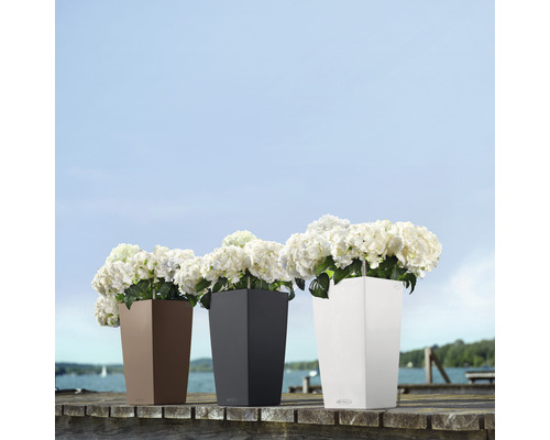 Drei hohe Pflanzgefäße mit Blumen auf einem Holzsteg