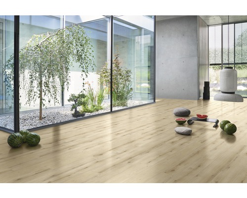 Pièce claire avec sol stratifié, cour avec plantes et décoration minimaliste