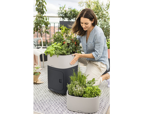 Frau mit Kräutergarten auf dem Balkon mit Pflanzgefässen und Kräutern