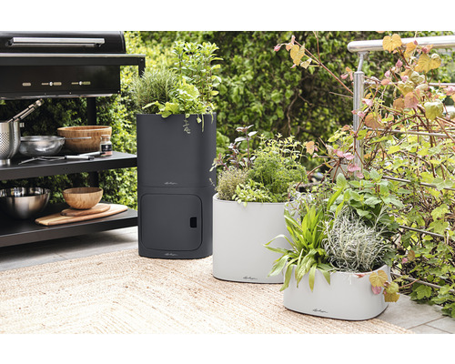 Trois bacs à plantes plantés sur une terrasse à côté d''un barbecue.