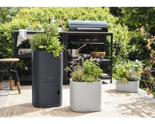 Arrangement de jardin avec des herbes aromatiques dans des bacs à fleurs sur une terrasse