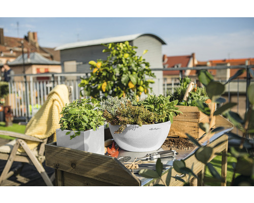 Szene mit verschiedenen Kräutern in Pflanzgefäßen auf einem Gartentisch im Freien