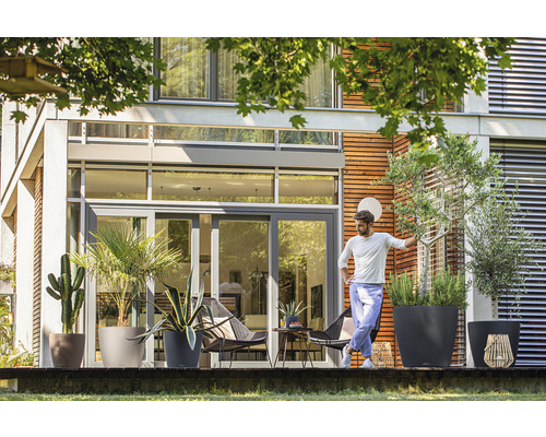 Terrasse avec diverses plantes dans des pots devant une maison moderne.