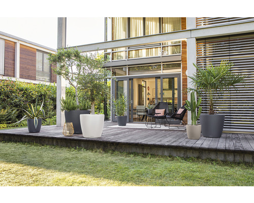 Espace extérieur avec des plantes dans des pots sur une terrasse