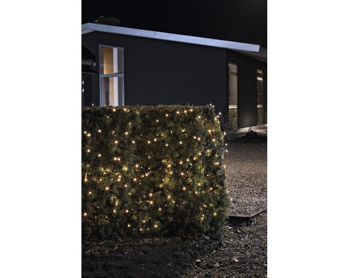 Beleuchtete Hecke mit Lichterkette vor einem Haus bei Nacht.