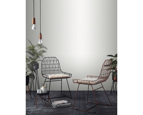 Pièce lumineuse avec deux chaises en fil de fer et des plantes