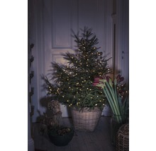 Geschmückter Weihnachtsbaum im geflochtenen Korb mit Amaryllis und Strohfigur