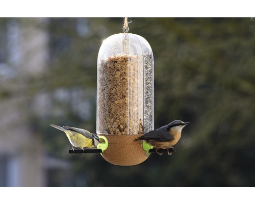Vogelfutterspender mit zwei Vögeln an den Futterplätzen
