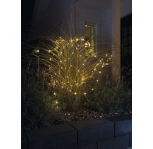Guirlande lumineuse décorative enveloppant une plante dans le jardin.