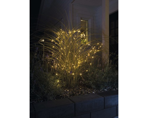 Guirlande lumineuse décorative enveloppant une plante dans le jardin.
