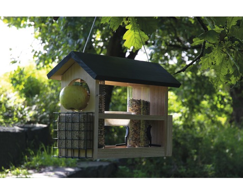 Hängendes Vogelhaus mit Futter, Meisenknödel und Apfel