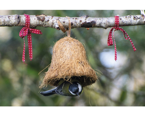 Oiseau dans une mangeoire suspendue en fibre de coco sur une branche avec des rubans