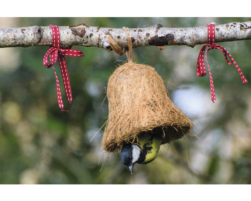 Oiseau dans une cabane à oiseaux en noix de coco, suspendue à une branche avec des rubans