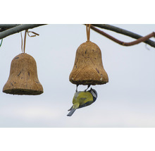 Vogelfuttermix gefüllte Futterglocken 8-teilig