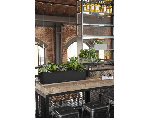 Scène avec une jardinière contenant diverses plantes sur une table en bois dans un espace au design industriel