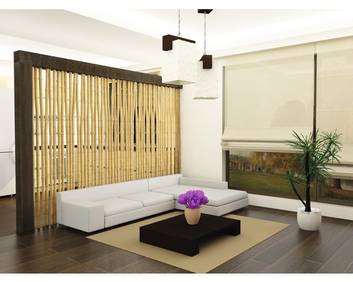 Salon avec séparation de pièce en bambou, canapé, table, tapis et plante d''intérieur