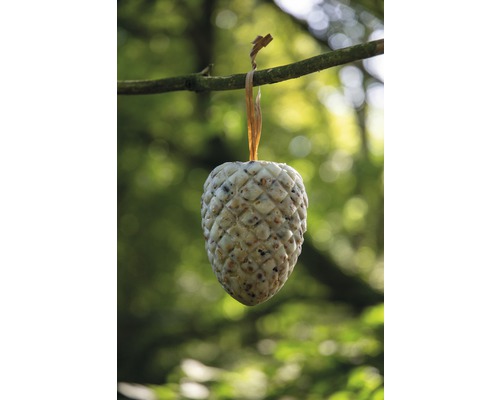 Aliment pour oiseaux en forme de cône suspendu à une branche