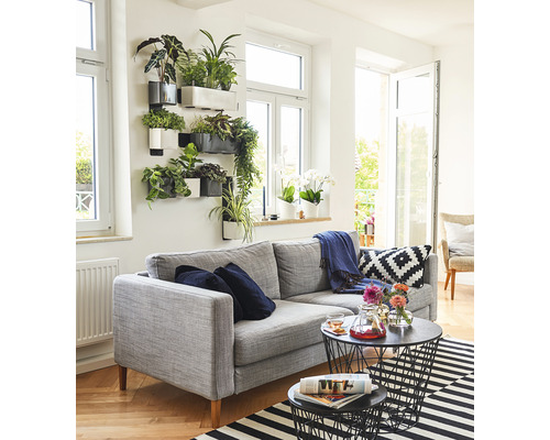 Salon avec canapé gris, végétation murale et tables basses en fil de fer noir