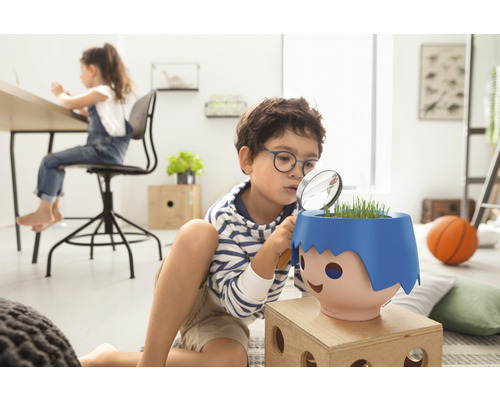 Un garçon examine une plante dans un pot avec une loupe dans une chambre d''enfant.