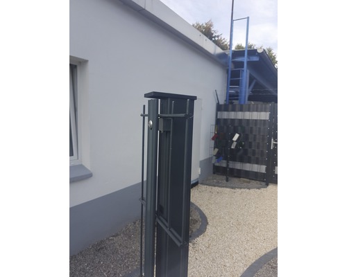 Vue détaillée d''un portail de jardin en métal