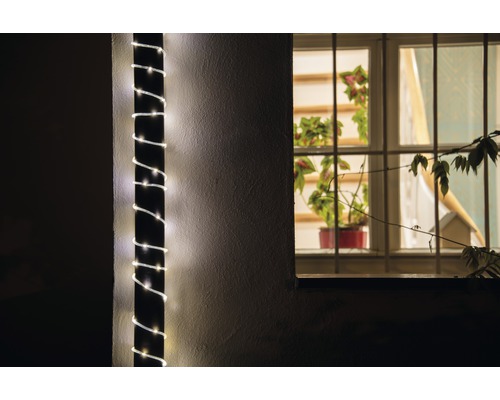 Vue extérieure d''une maison avec une guirlande lumineuse enroulée autour d''un pilier et une fenêtre avec des plantes.