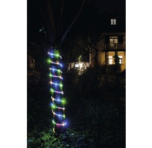 Tronc d'arbre avec guirlande lumineuse colorée dans le jardin de nuit