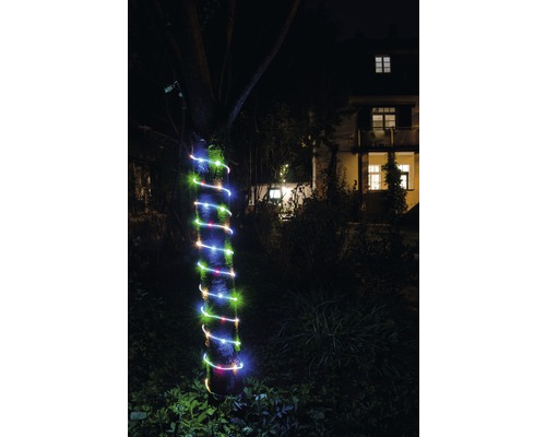 Tronc d'arbre avec guirlande lumineuse colorée dans le jardin de nuit