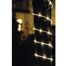 Tronc d''arbre avec guirlande lumineuse dans le jardin