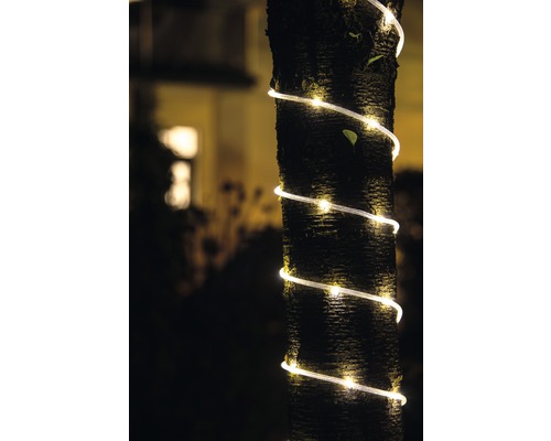 Tronc d''arbre avec guirlande lumineuse dans le jardin