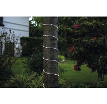 Guirlande lumineuse enroulée en spirale autour d''un tronc d''arbre dans un jardin