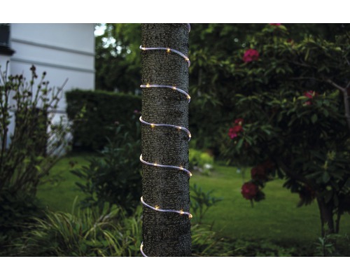 Guirlande lumineuse enroulée en spirale autour d''un tronc d''arbre dans un jardin