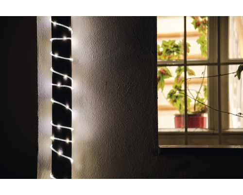 Guirlande lumineuse décorative enroulée autour d''un poteau, plante d''intérieur visible à la fenêtre.