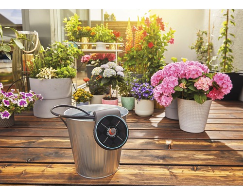 Système d''irrigation pour plantes dans un seau en zinc sur un balcon avec des fleurs