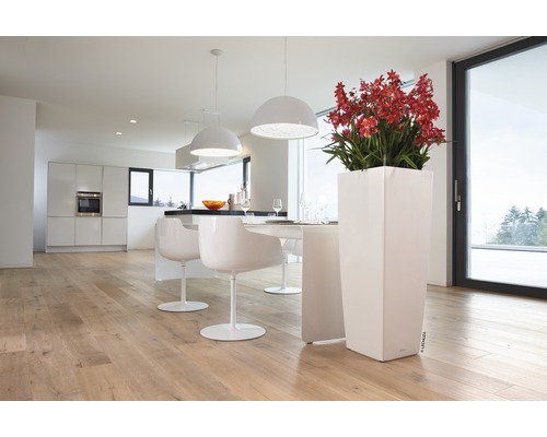 Intérieur lumineux avec cuisine, table à manger, chaises, luminaires et un haut pot de fleurs blanc avec des fleurs rouges