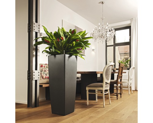 Haut pot de fleurs en plastique avec plante d''intérieur dans une pièce lumineuse