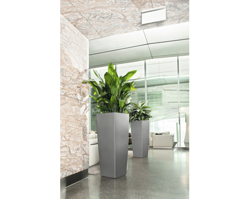 Hauts bacs à plantes avec des plantes vertes à l''intérieur.