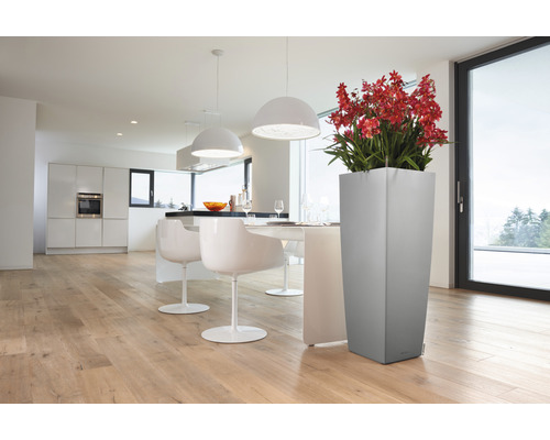 Pièce lumineuse avec table à manger, chaises, cuisine et bac à fleurs avec des fleurs