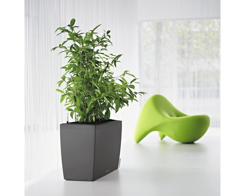 Jardinière carrée avec plante verte et une chaise verte en arrière-plan